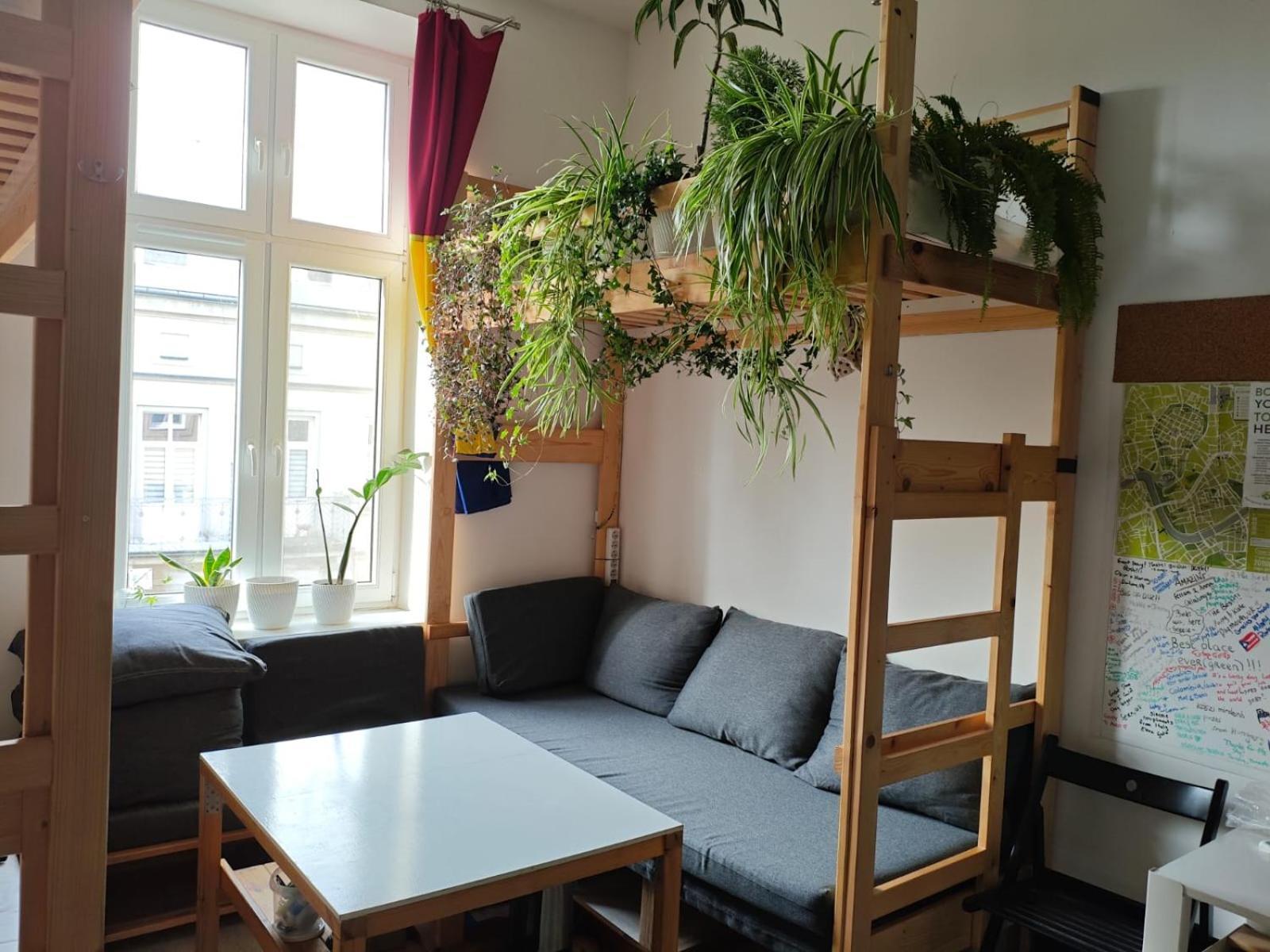 Evergreen Hostel Krakow Exterior photo